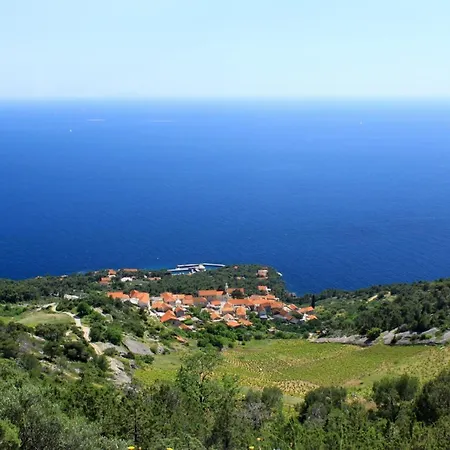 Appartamento With Parking Space Sveta Nedilja, Hvar - 14086 *